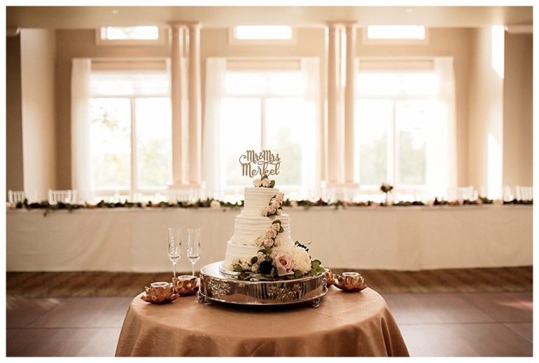 hawthorns-country-club-reception-wedding-photography-indianapolis-cake